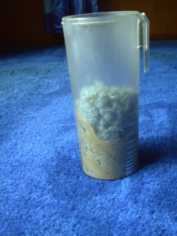 08-08-18vacuuming1.jpg