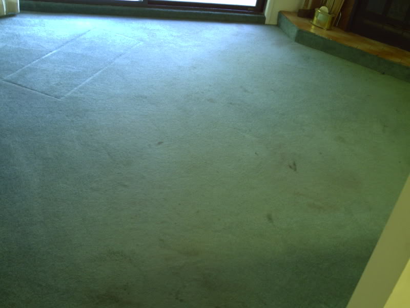 08-09-29Vacuuming2.jpg