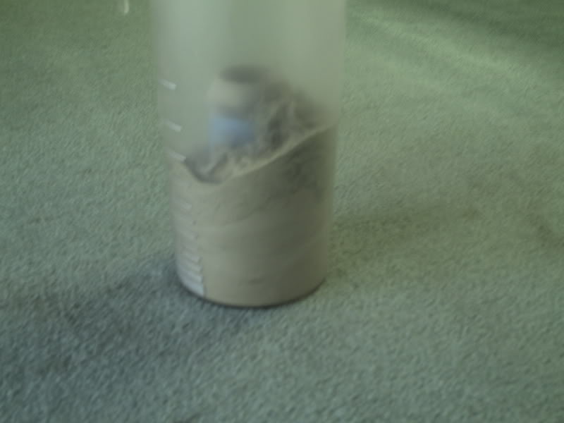 08-09-29Vacuuming4.jpg
