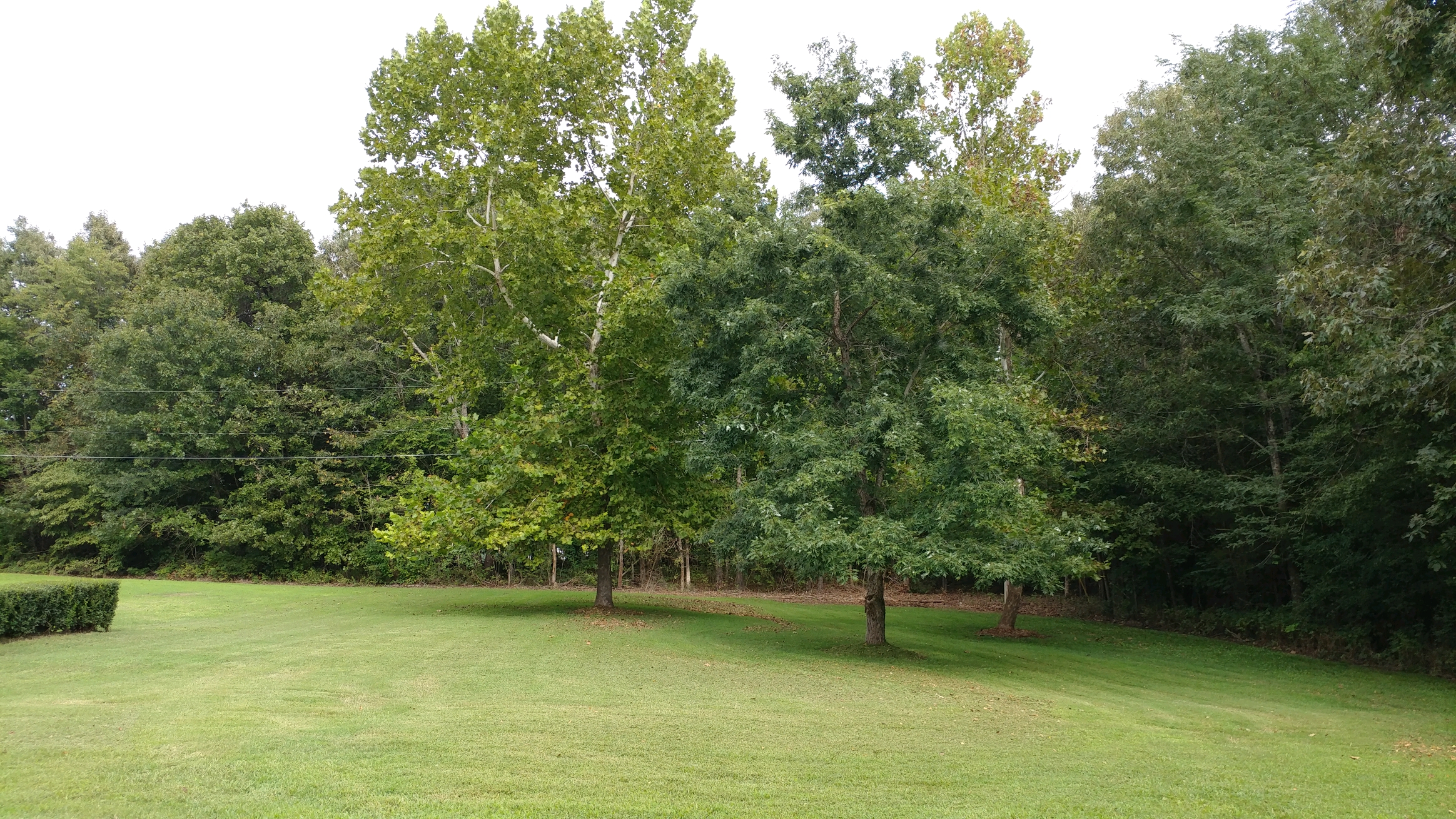 0830171624b.jpg