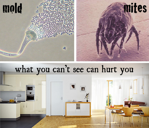 1639880486810.png