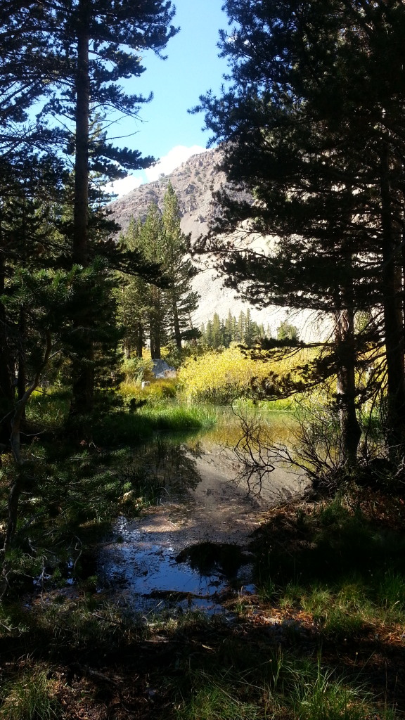 20120929_134022_zps09a20ee4.jpg