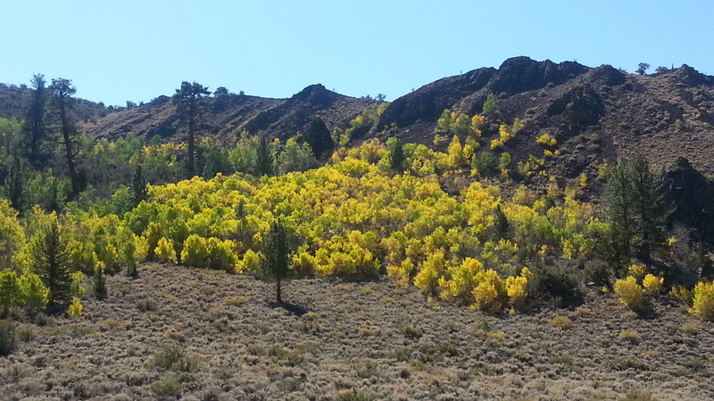 20121001_114731_zps528db751.jpg
