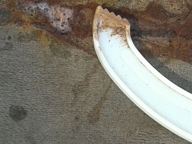 20130703_154022Rusty_zpsecc2bb59.jpg