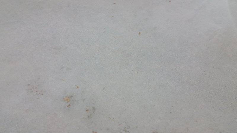 20150916_103842.jpg