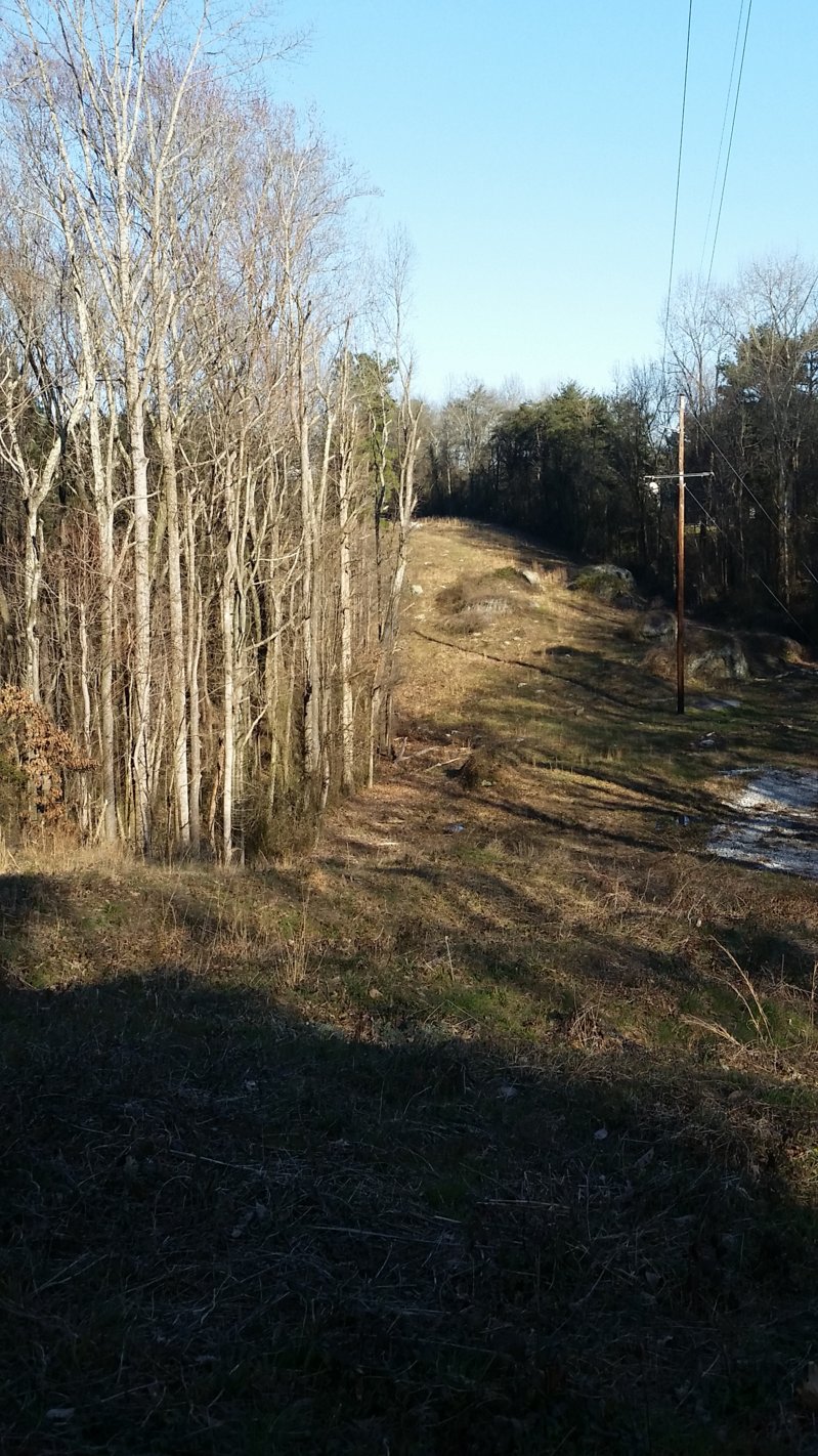2016-02-19 16.31.44.jpg