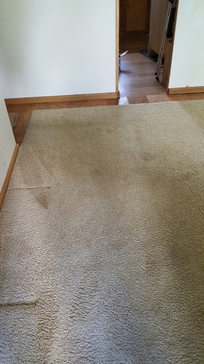 2016-07-06 13.28.14.jpg