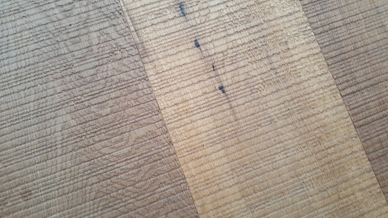 20160401_134815.jpg