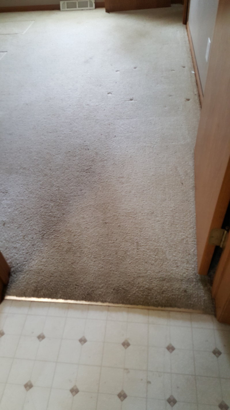 20160403_101150.jpg