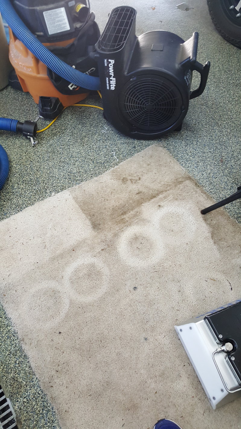 20160404_160046.jpg