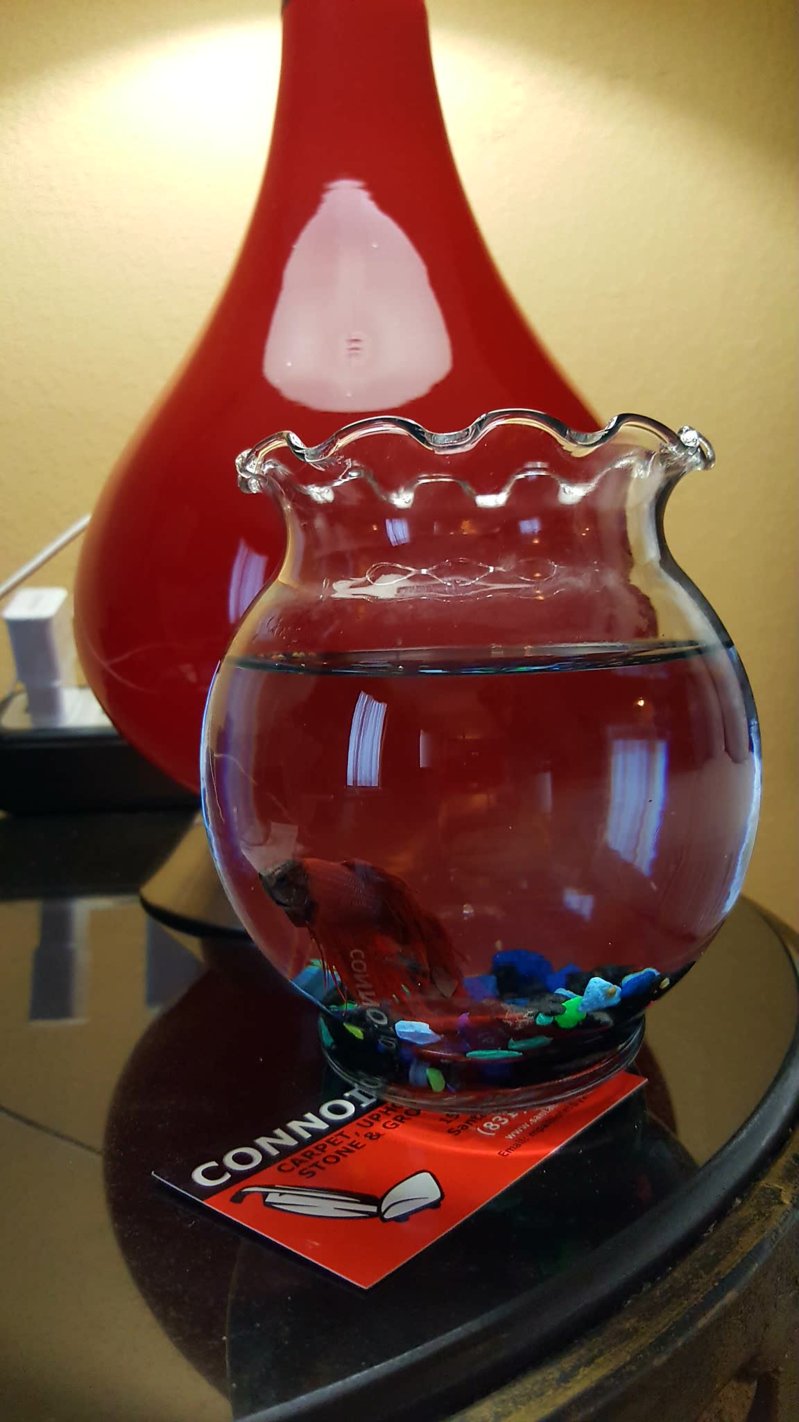 20160719_170221.jpg