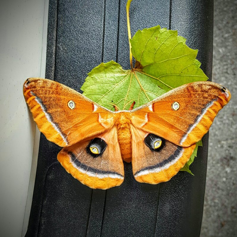 20160721_142346.jpg