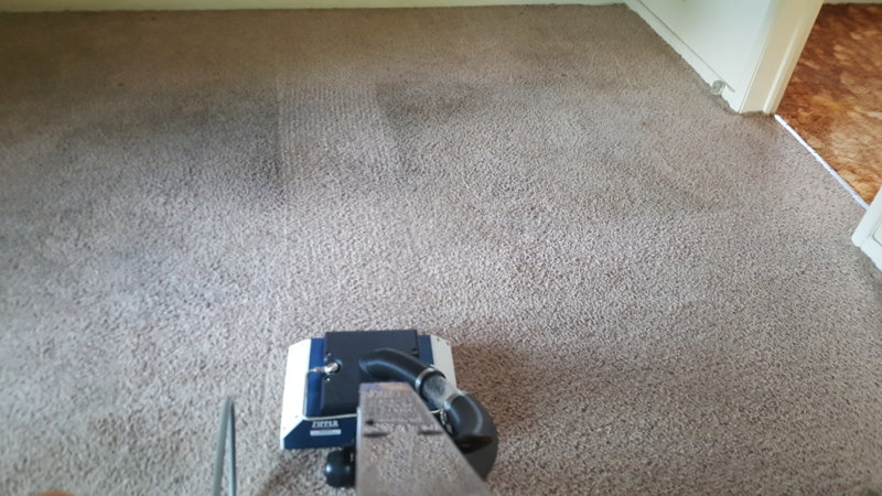 20160804_095135.jpg