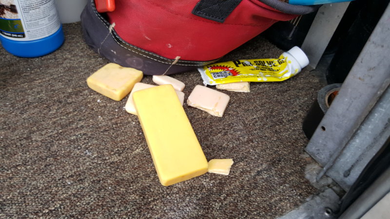 20160819_093456.jpg