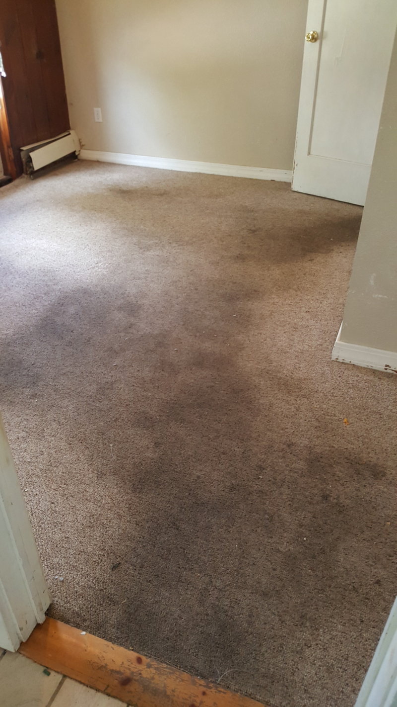 20160826_153430.jpg