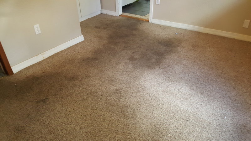 20160826_153443.jpg