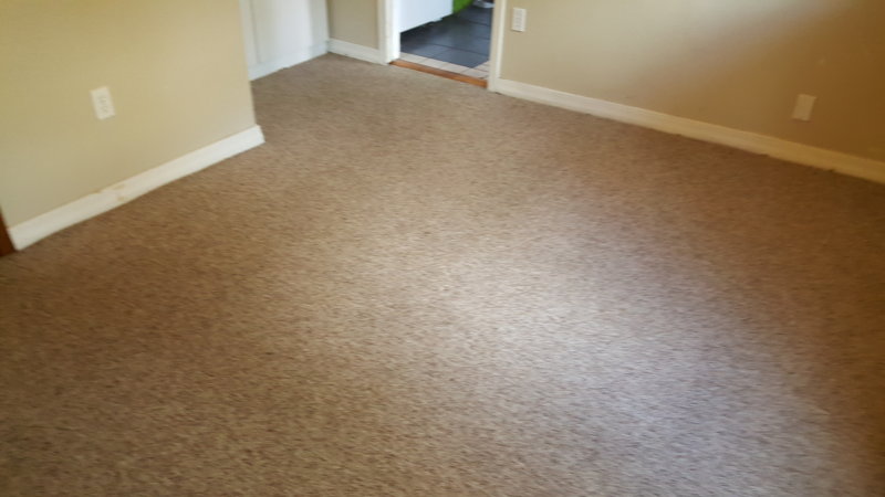 20160826_155848.jpg