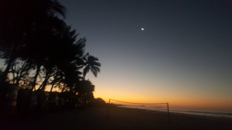 2017-01-24 06.43.02.jpg