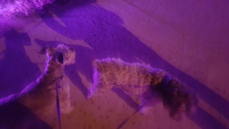 20170203_192750.jpg