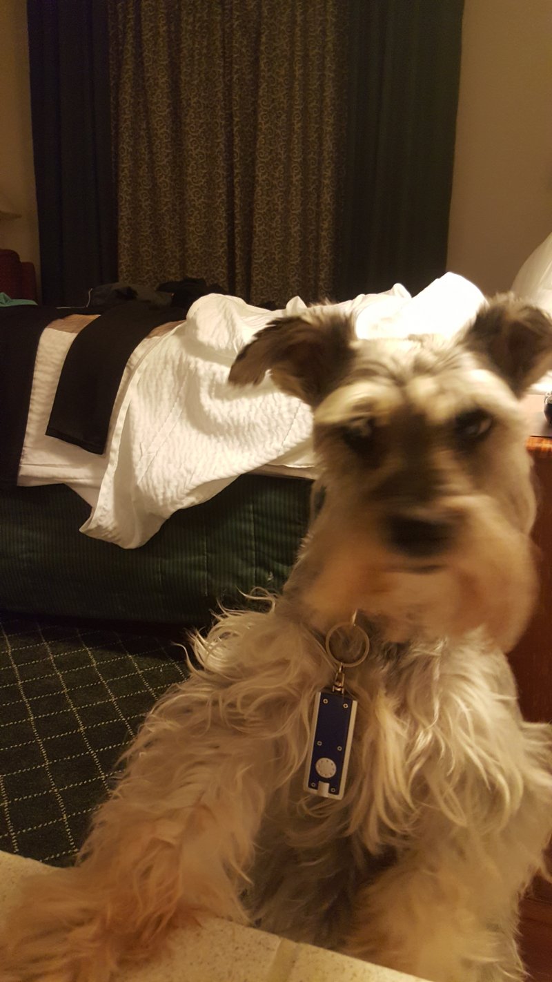 20170209_211759.jpg