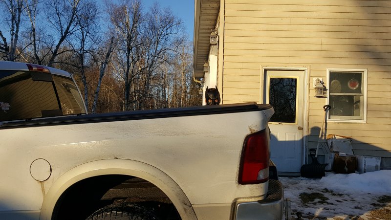 20170218_075322.jpg