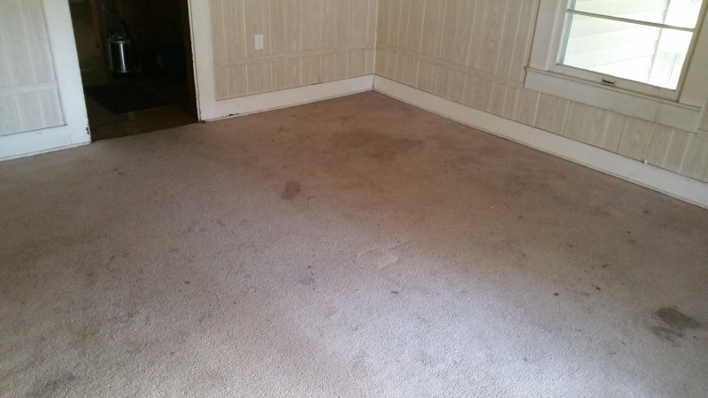 20170330_100838.jpg