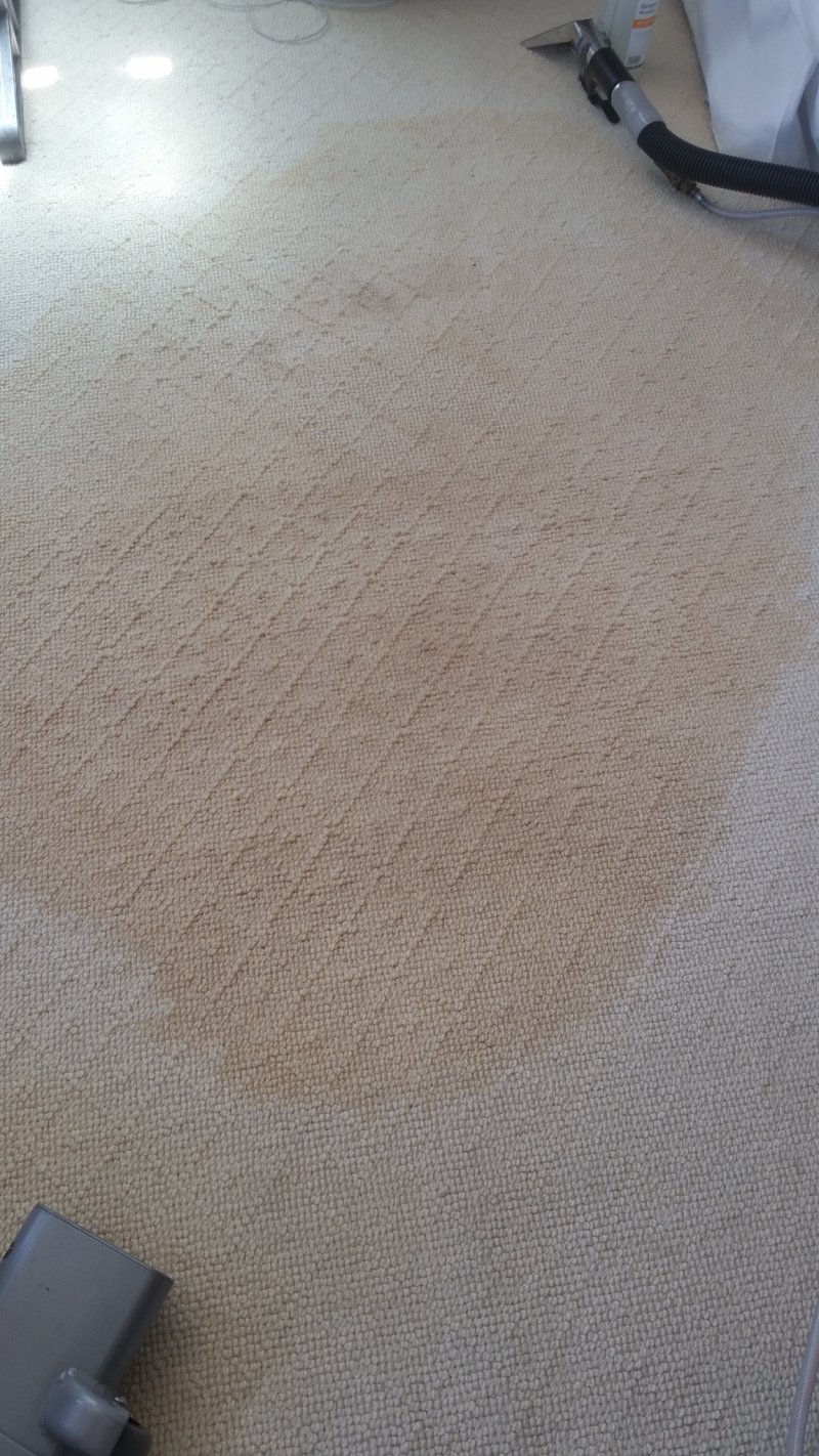 20170612_155026.jpg