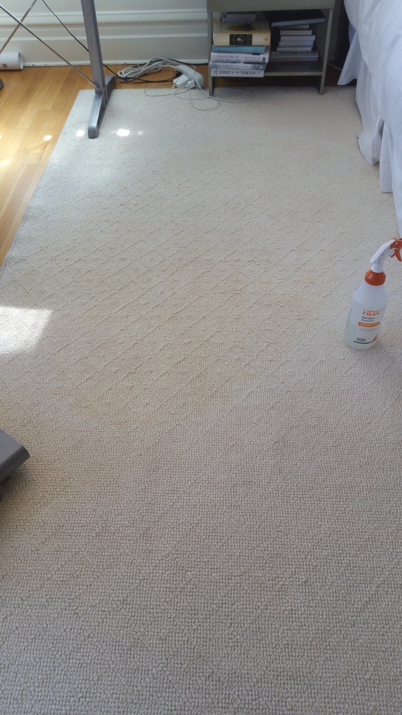 20170612_162807.jpg