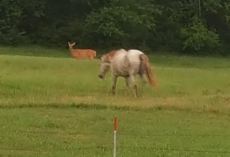 20170726_203323.jpg