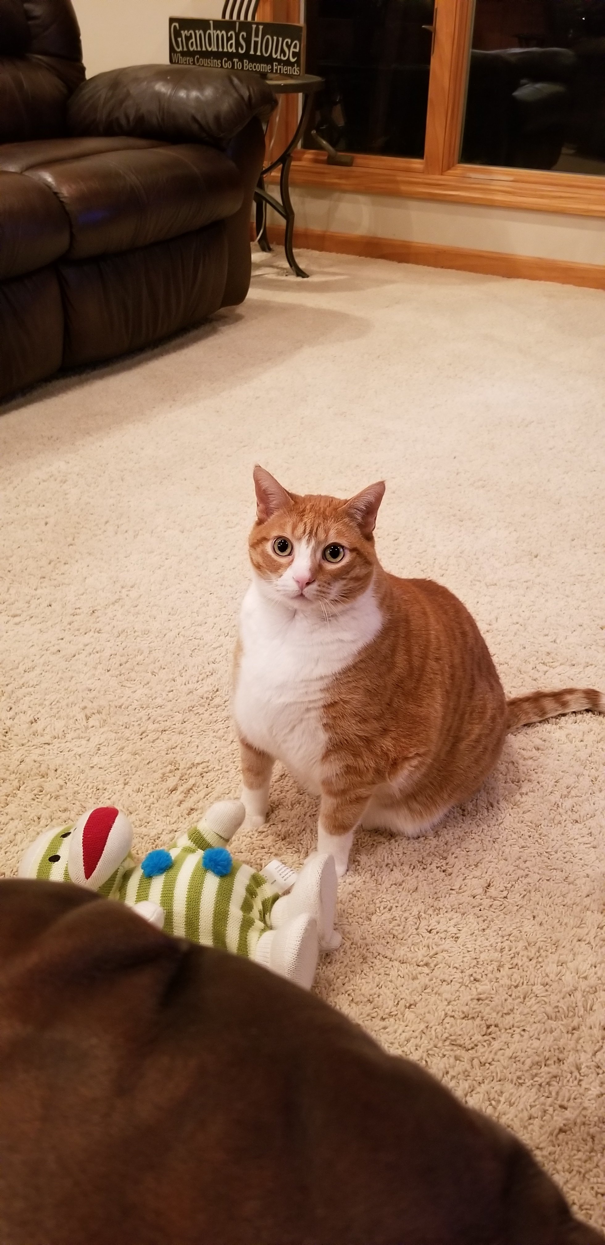 20171123_182157.jpg
