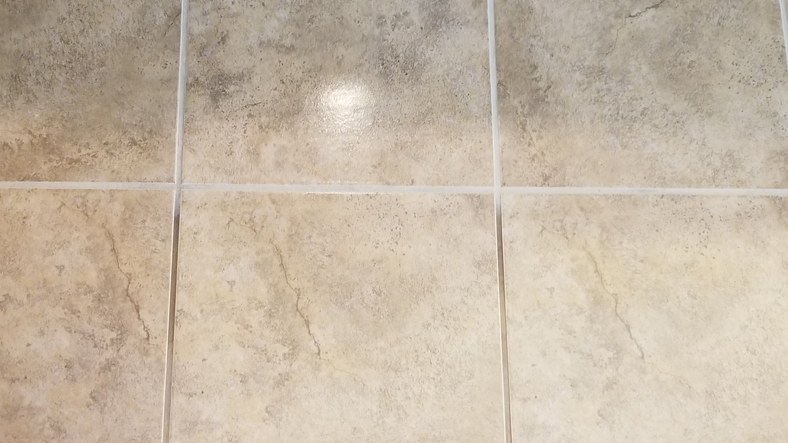 20180227_144950.jpg