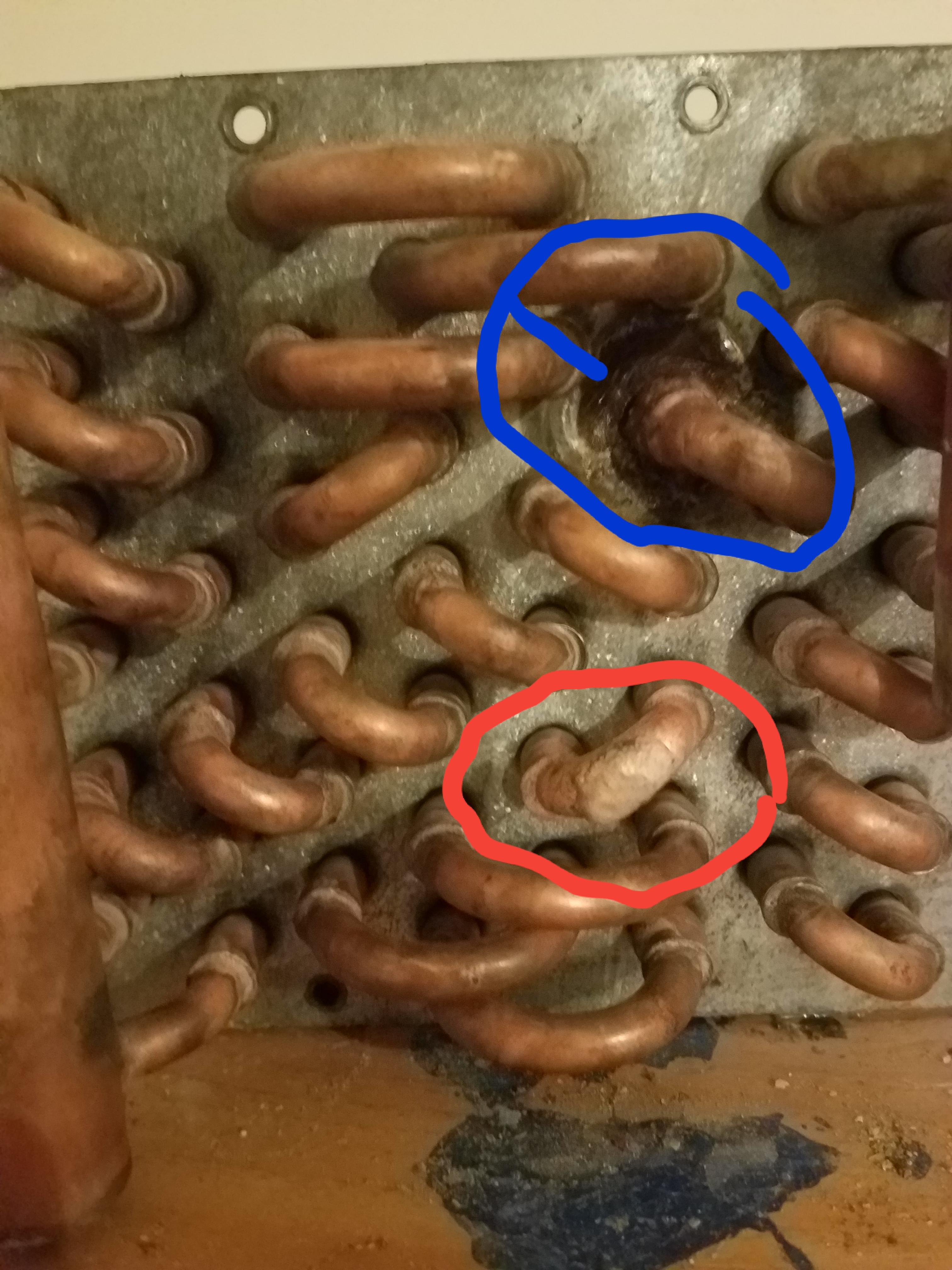 20180427_001535.jpg