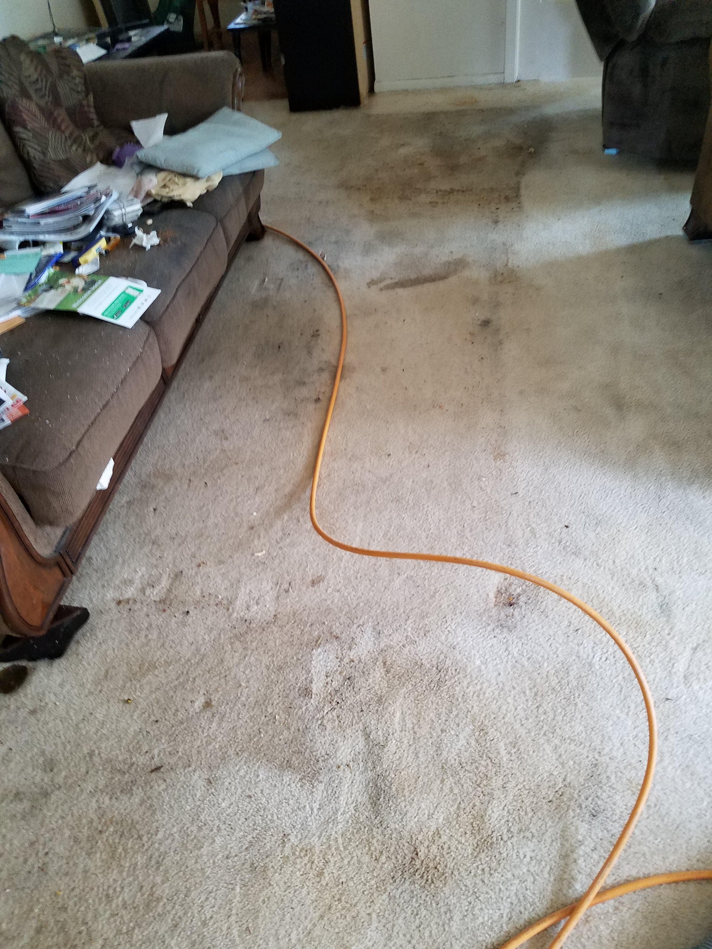 20191003_130323.jpg