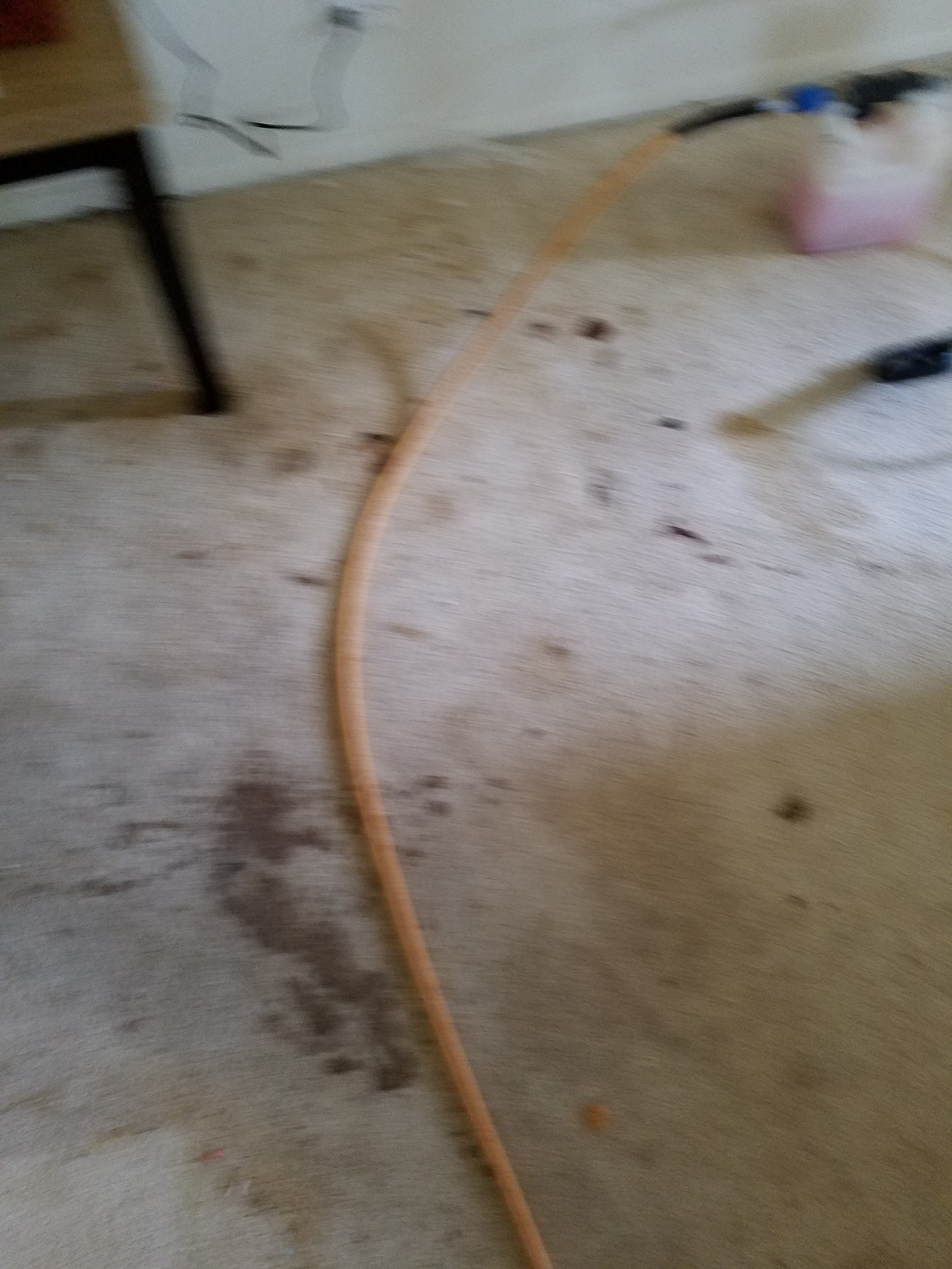 20191003_130336.jpg