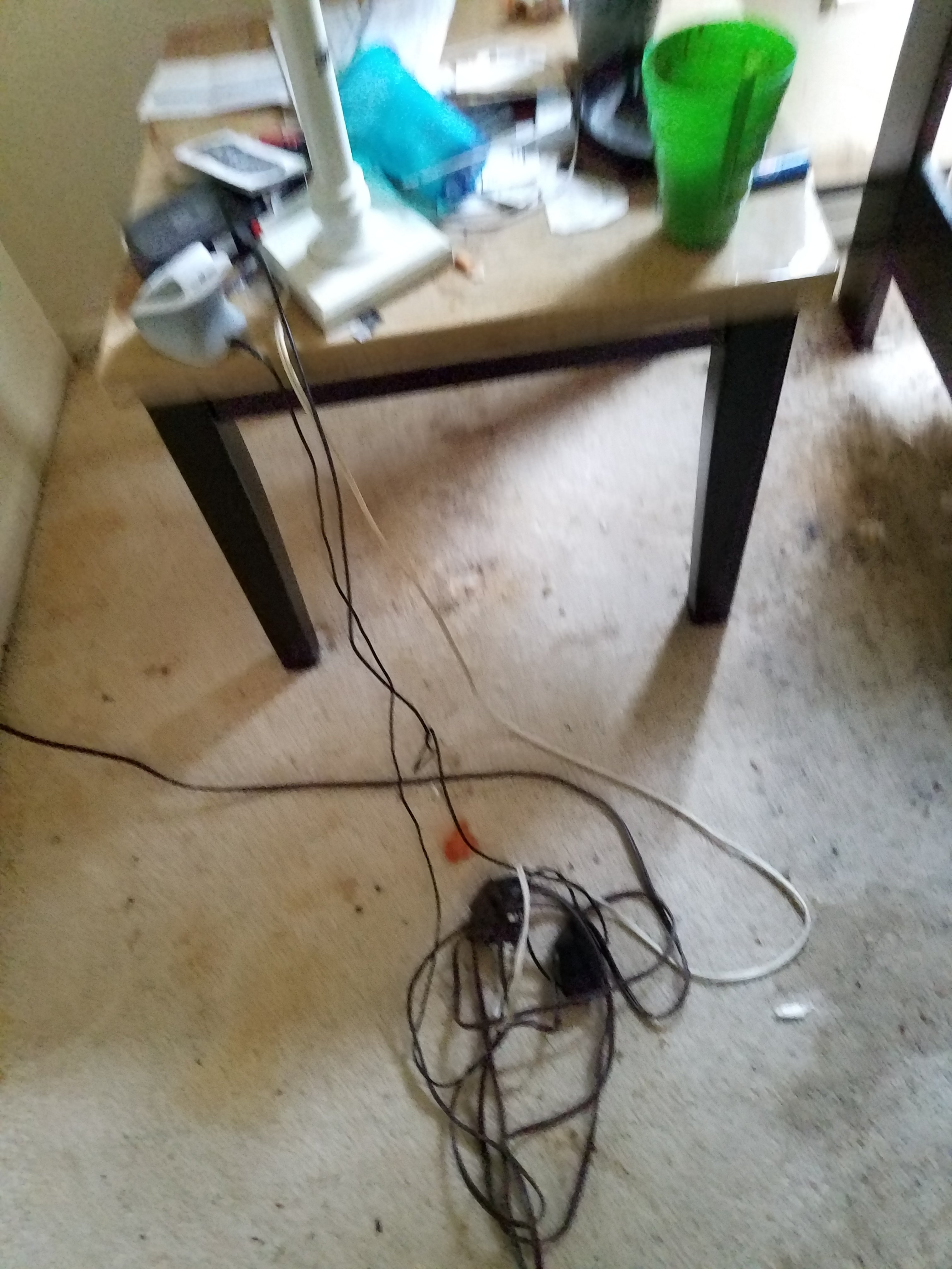20191003_130342.jpg