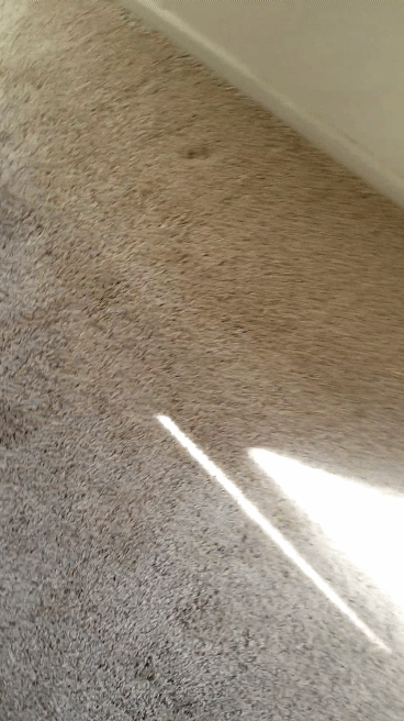 20200715_092954_1.gif