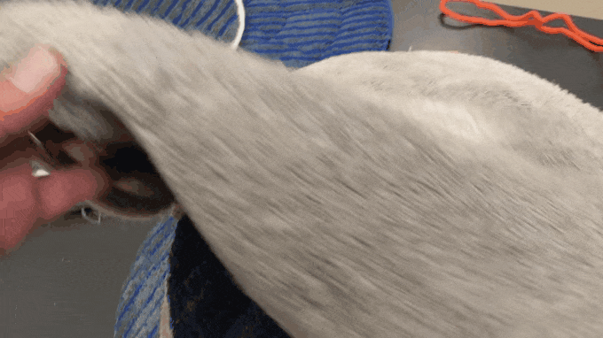 20210204_051229.gif