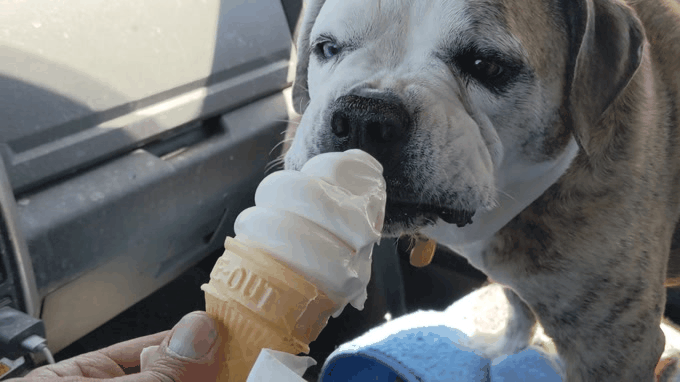 20210501_135106.gif