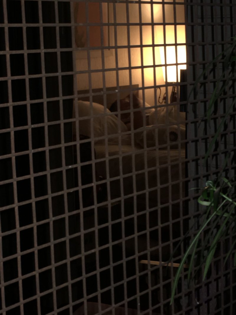 336E7DD4-3A6D-4B9A-84EC-6C8DA9F25AD1.jpeg