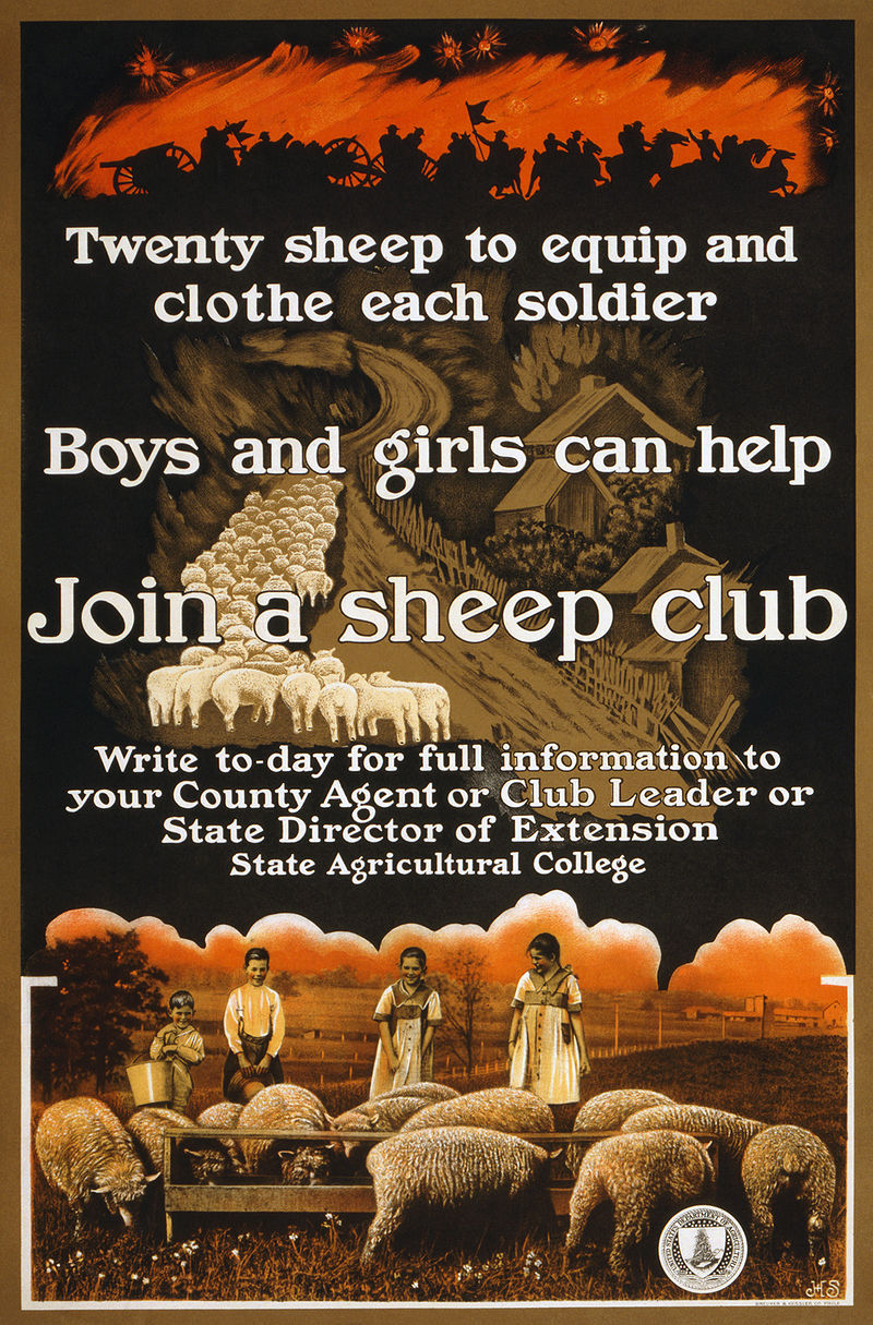 800px-Sheep_club2.jpg