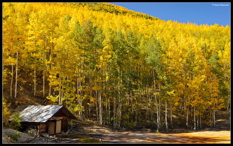 Aspens-with-Abandoned-House.jpg