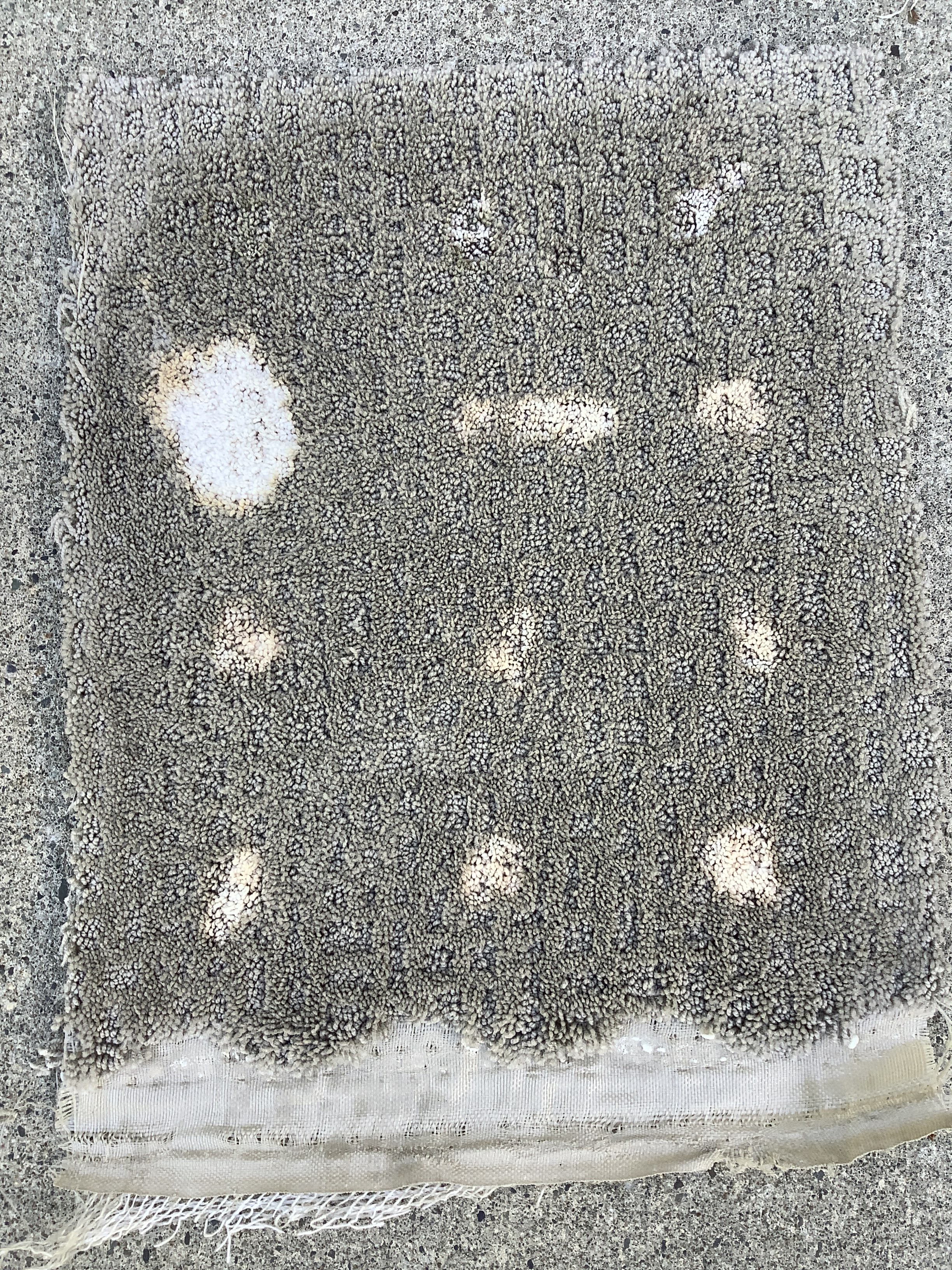 CA6DD167-5AB5-49FA-B600-8CB83E2EDCCF.jpeg