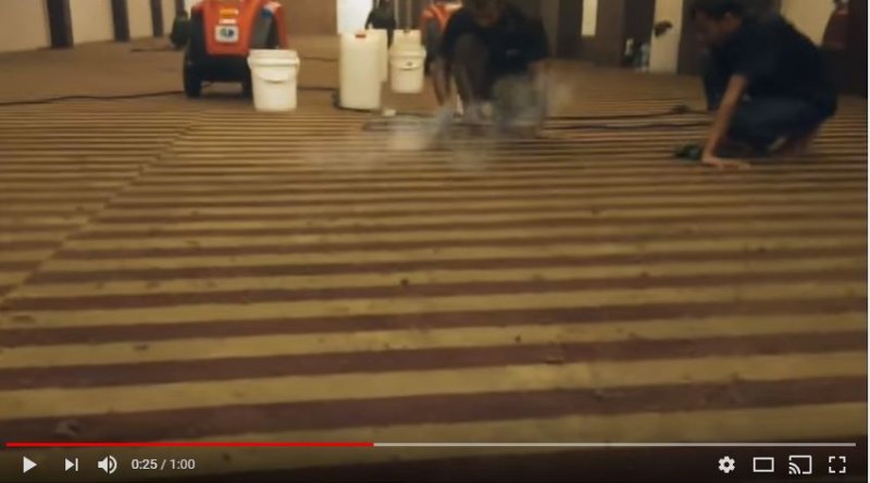 Capturefeet2.JPG