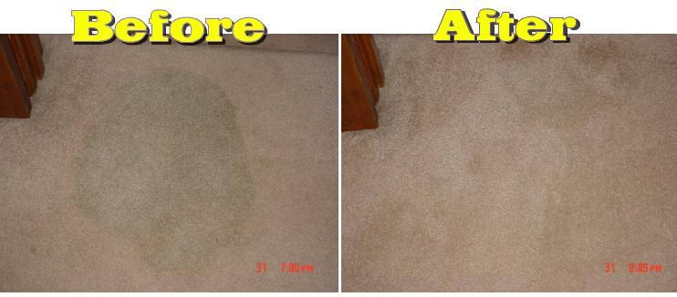 Carpet%20Before-After_full_full.jpe