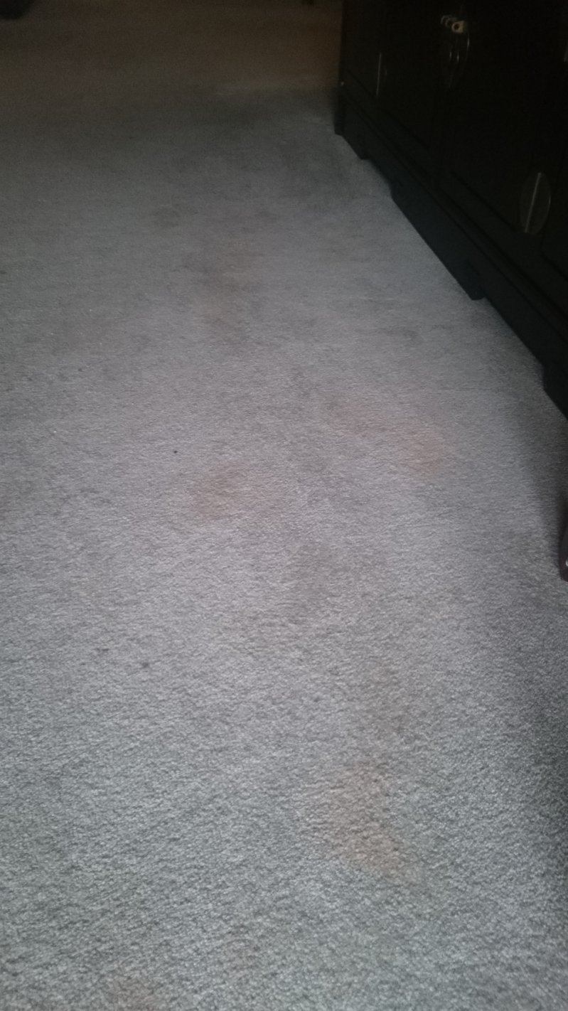 DSC_1552.JPG