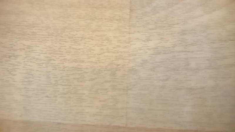 DSC_2977.JPG