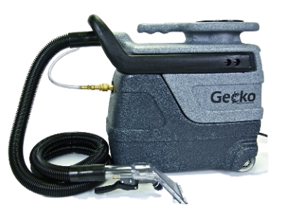 gecko-1.jpg