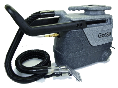 gecko-2.jpg