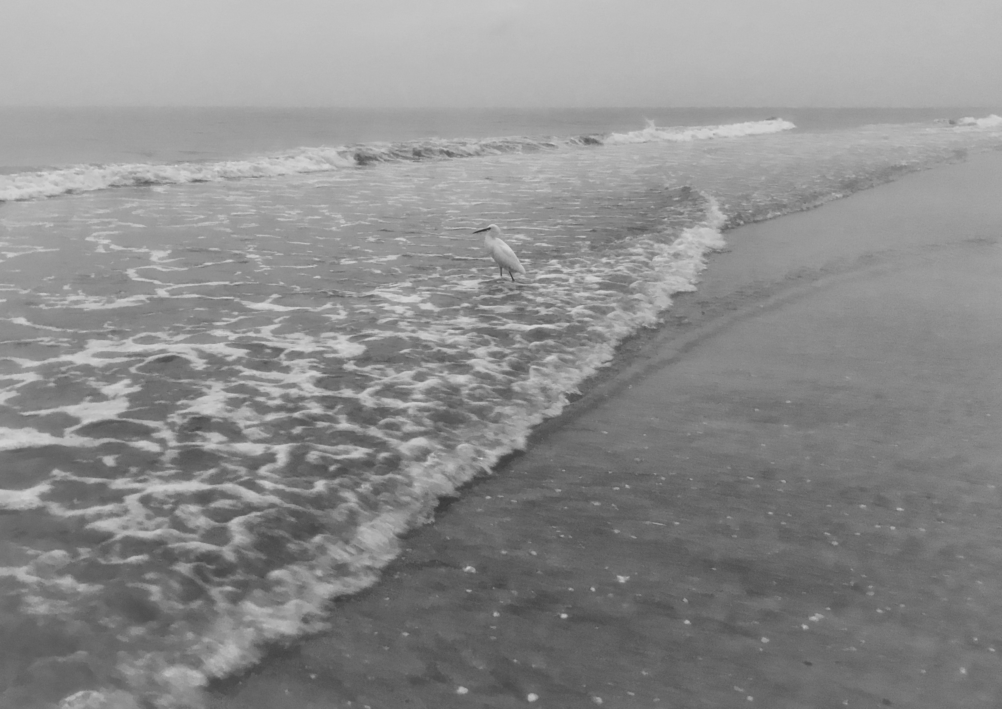 gulf-eve.jpeg