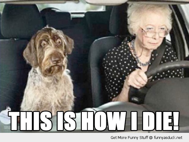 how-to-tell-your-parents-theyre-too-old-to-drive.jpg